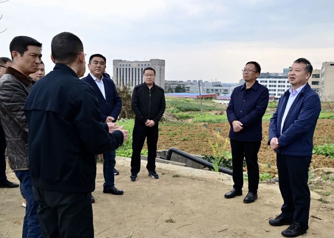 罗蒙副市长调研督导公交枢纽场站建设工作