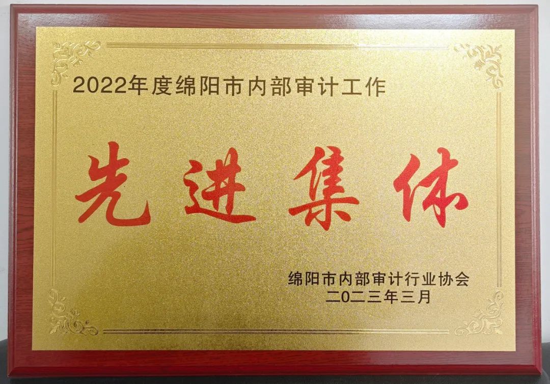 叒获殊荣！绵阳公交集团荣获市内部审计行业协会2022年度“ 先进集体”称号